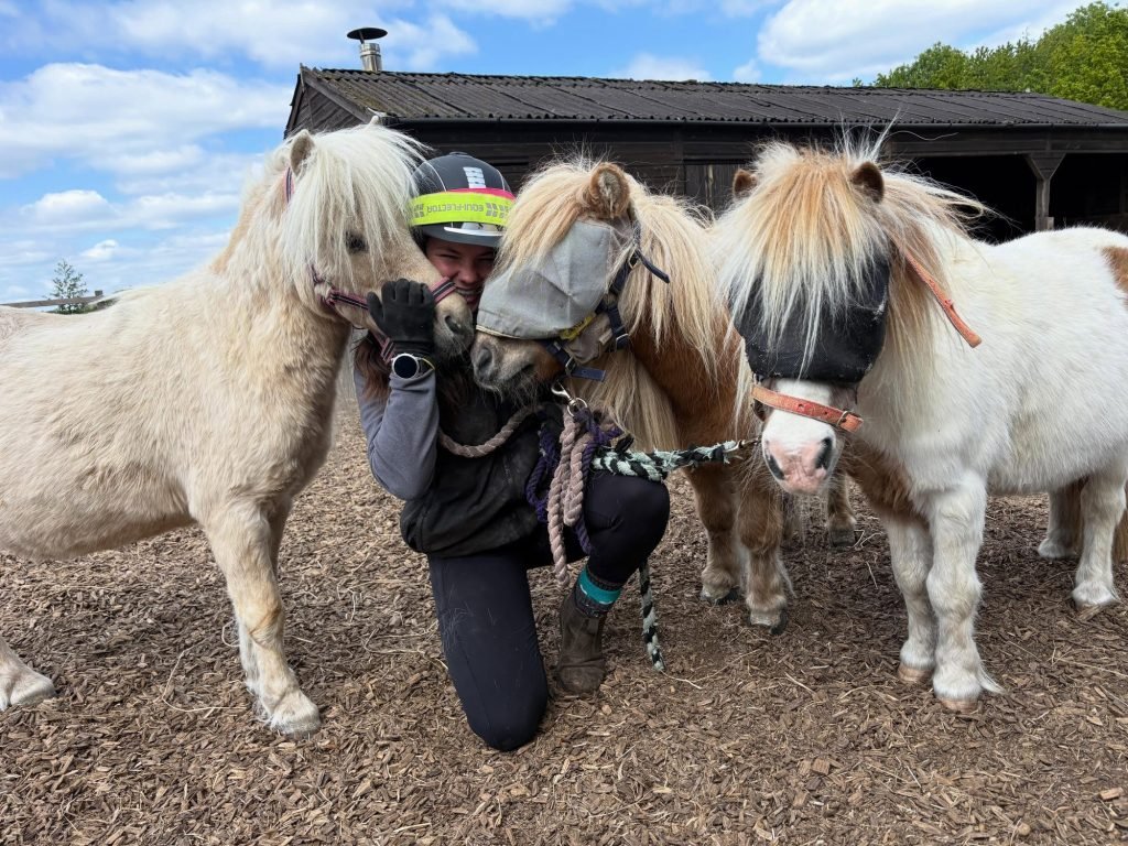 Annabel kneeling with three Shetland ponies on the yard
