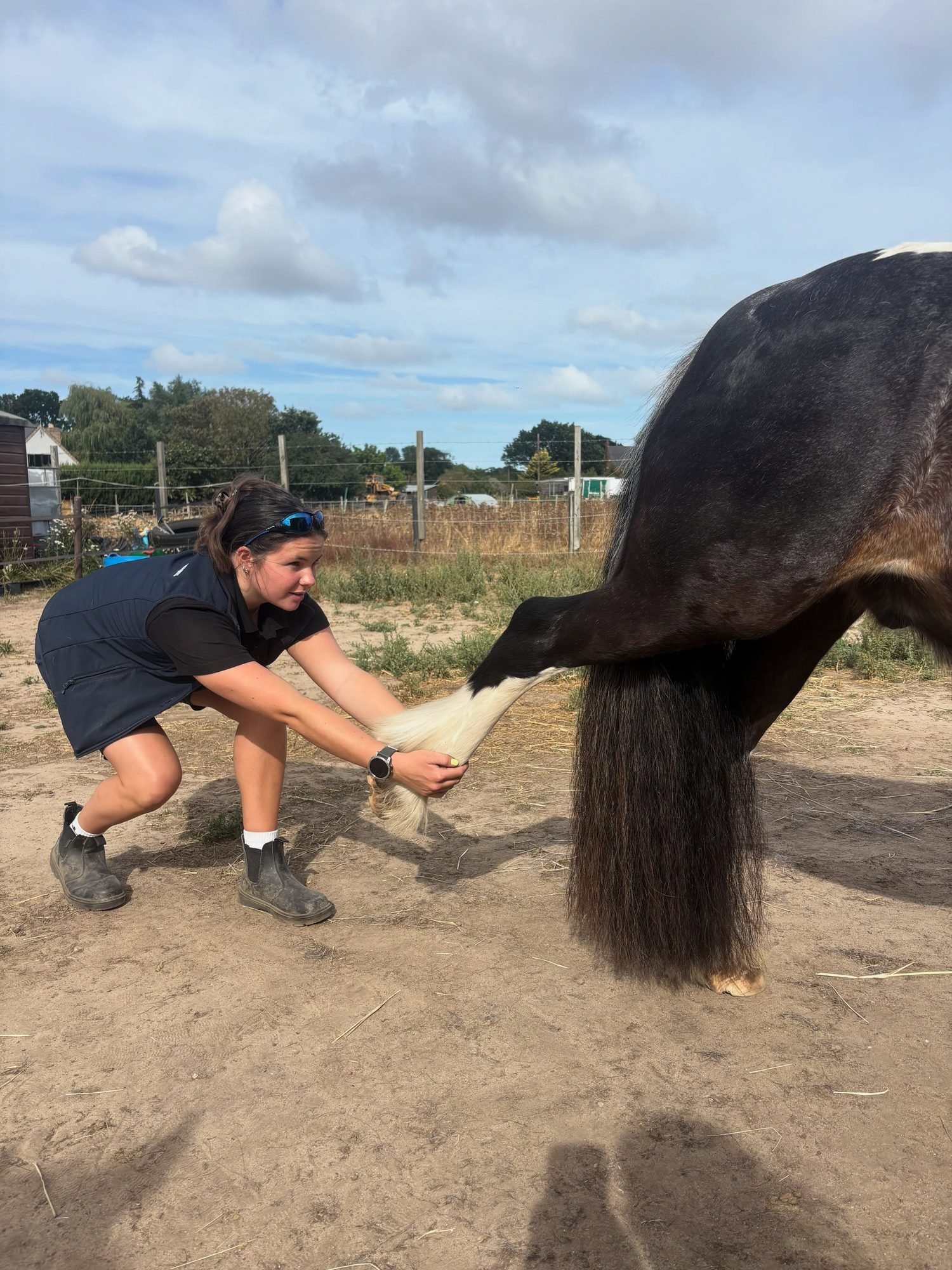 Annabel stretching a horse's hind leg on the yard