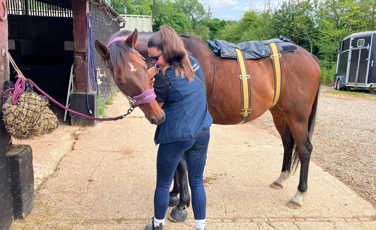Annabel assessing a bay horse on the yard