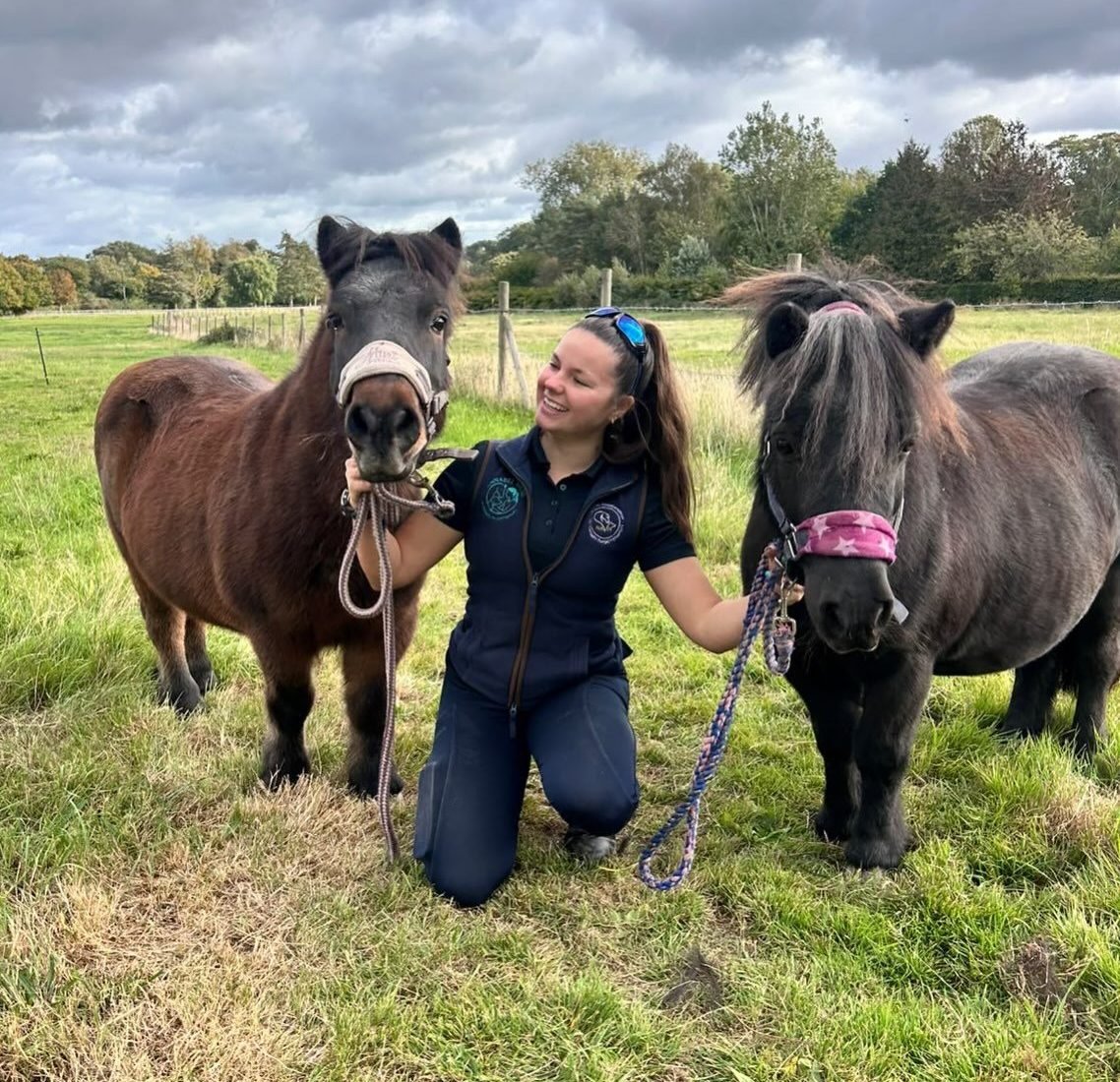 Annabel kneeling between two Shetland ponies in a field