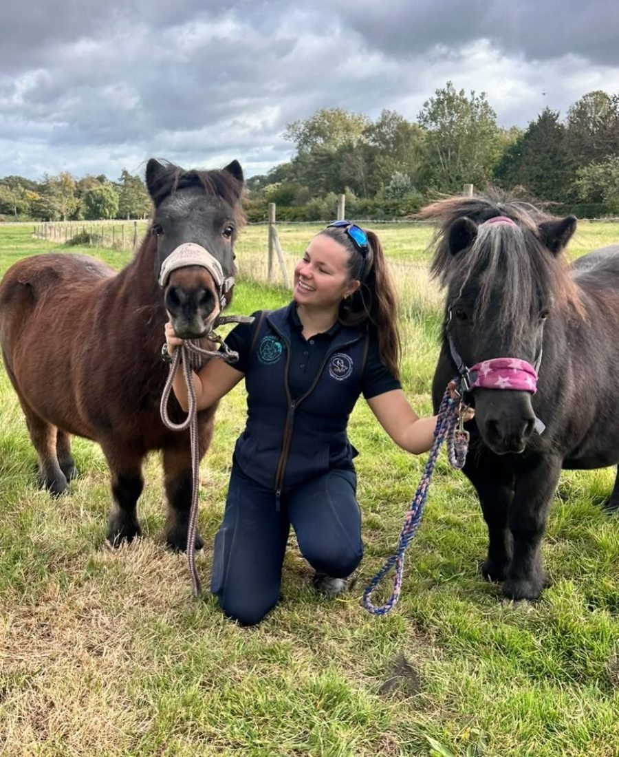 Annabel kneeling between two Shetland ponies in a field